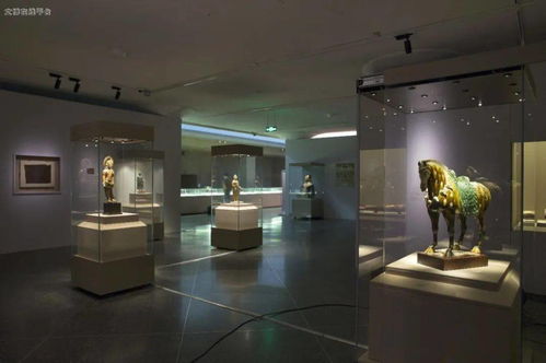 丝路遗珍，雪域瑰宝——2019年度十大陈列展览精品之《丝绸之路上的文化交流 吐蕃时期艺术珍品展》推介